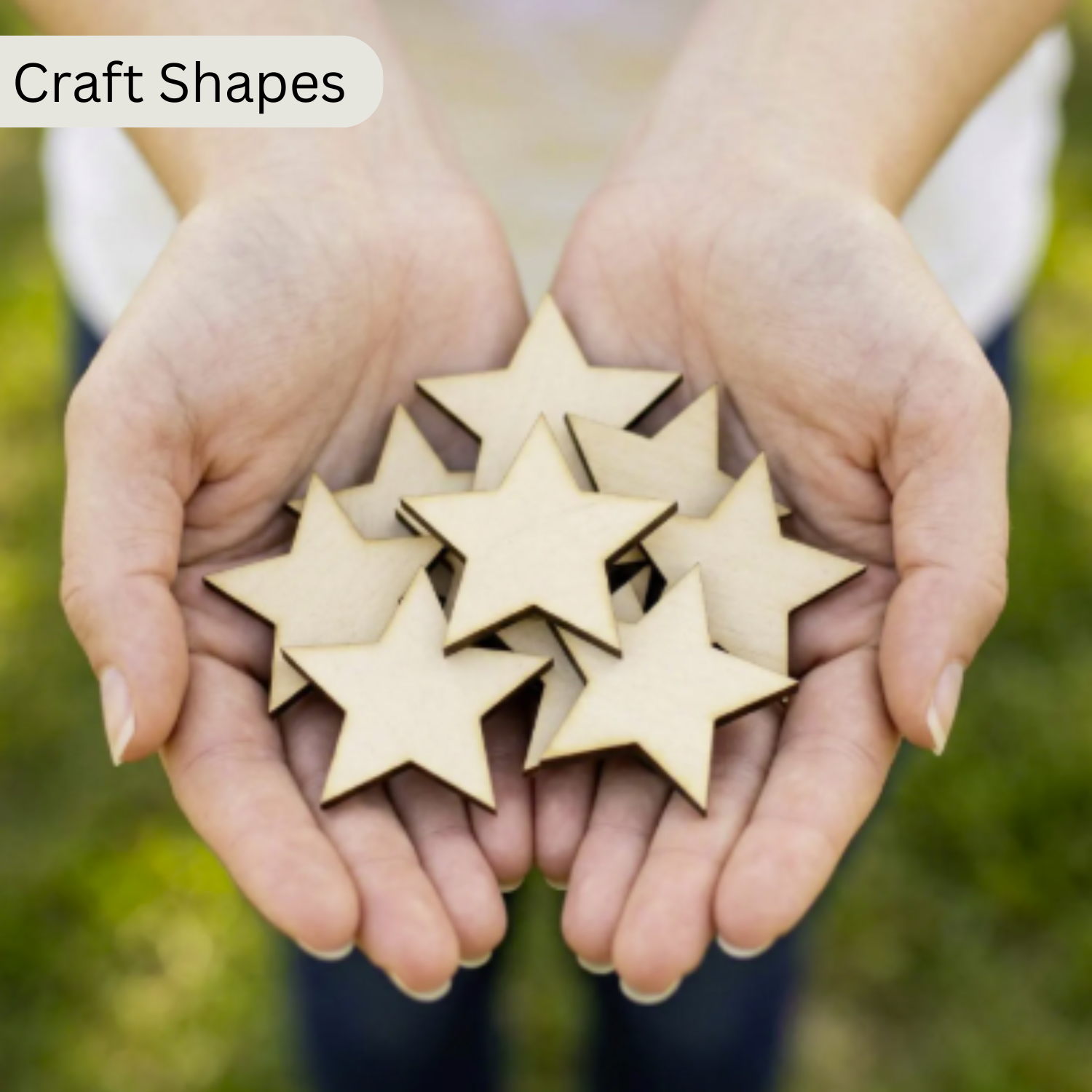 Craft Shapes & Blanks