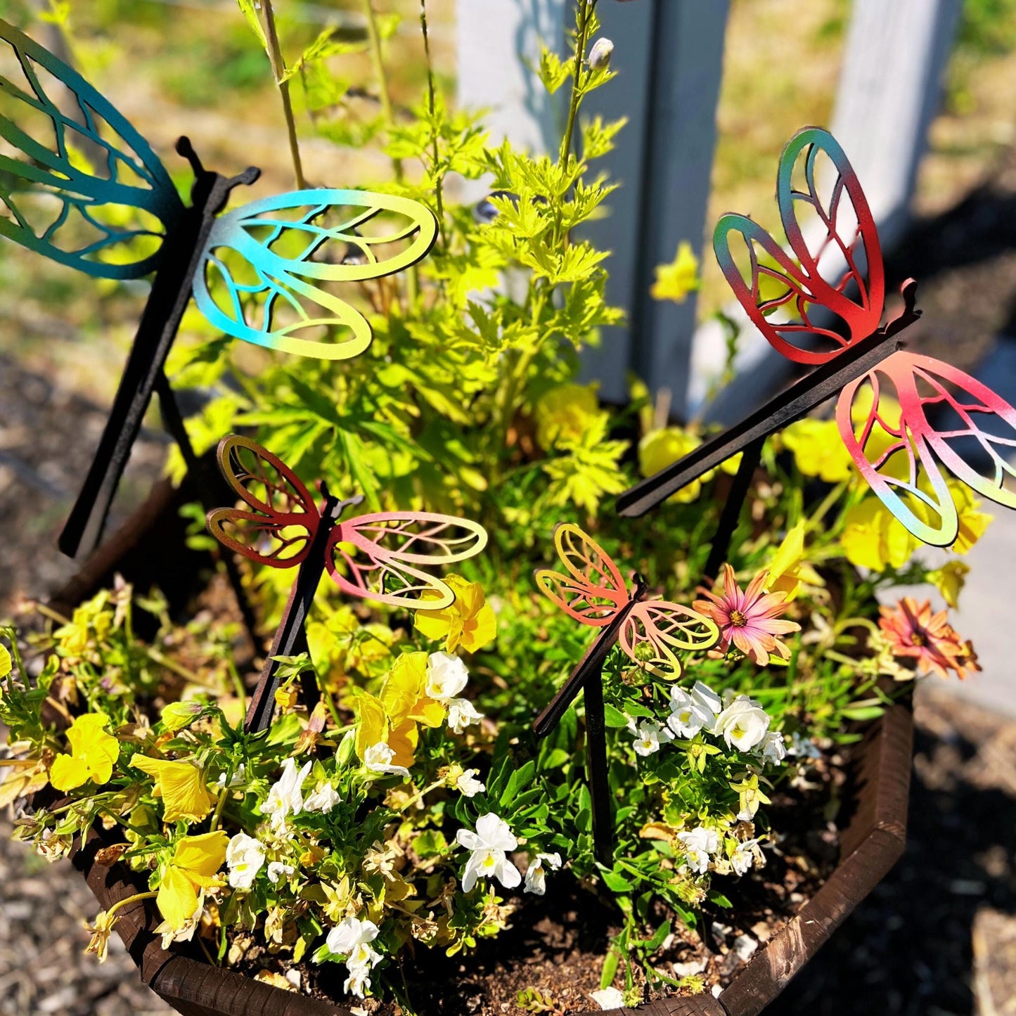 3D Dragonfly Insect, Freestanding Bug, Table Top Dragonfly Decor, Dragonfly Garden Decor, Dragonfly Craft, Unfinished Craft Wood, Set of 4