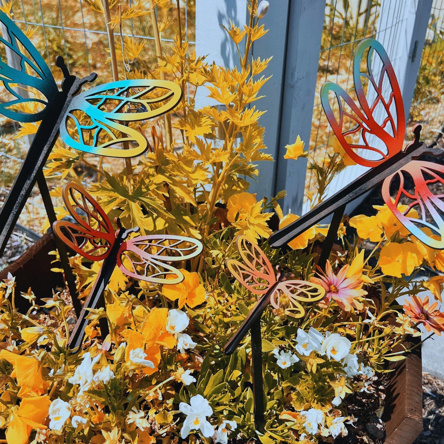 3D Dragonfly Insect, Freestanding Bug, Table Top Dragonfly Decor, Dragonfly Garden Decor, Dragonfly Craft, Unfinished Craft Wood, Set of 4